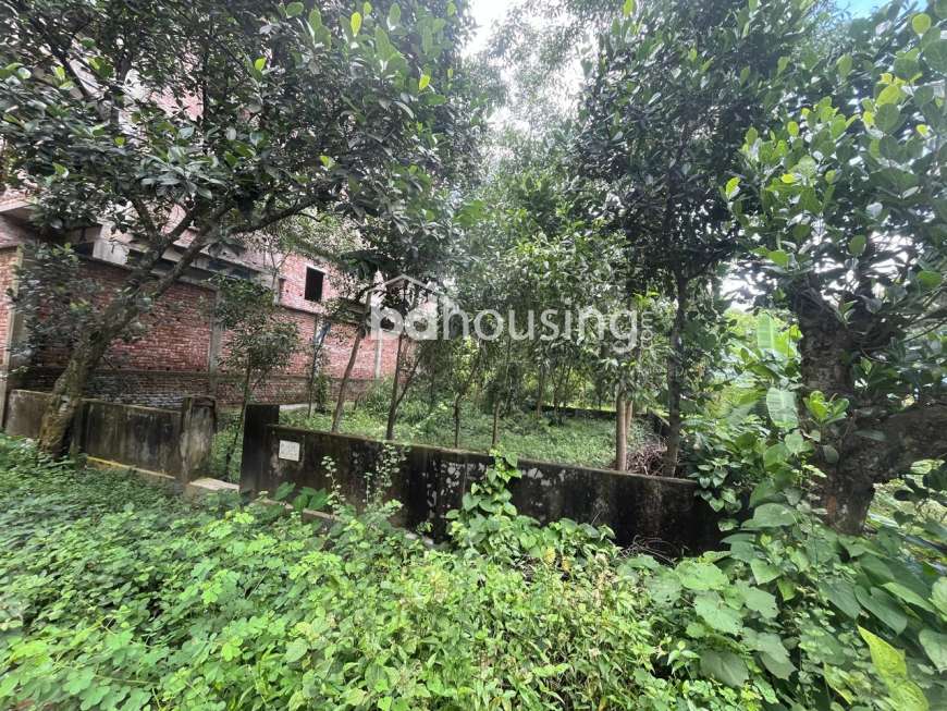 সাভারে ০৩ কাঠার প্লট বিক্রয় হবে, Residential Plot at Savar