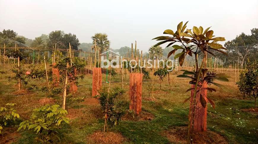 90.25 decimal land with a bungalow house for sale at a low price., Residential Plot at Gazipur Sadar