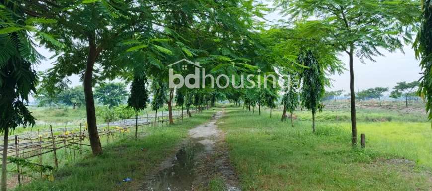 ARYAN CITY (RUNNER GROUP), Residential Plot at Hemayetpur