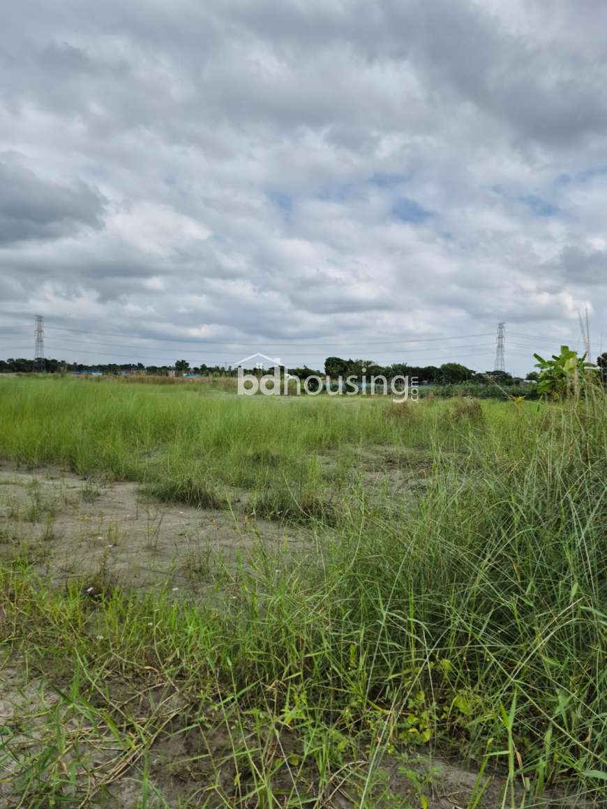 Modhu city, Residential Plot at Mohammadpur