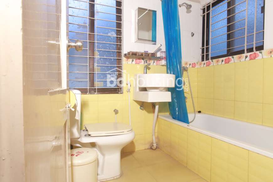 BABYLON FURNISHED APARTMENT, Apartment/Flats at Baridhara