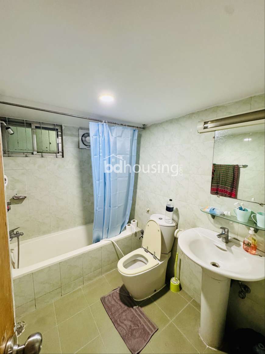 Sheltech Diamond Apartment, Apartment/Flats at Gulshan 02
