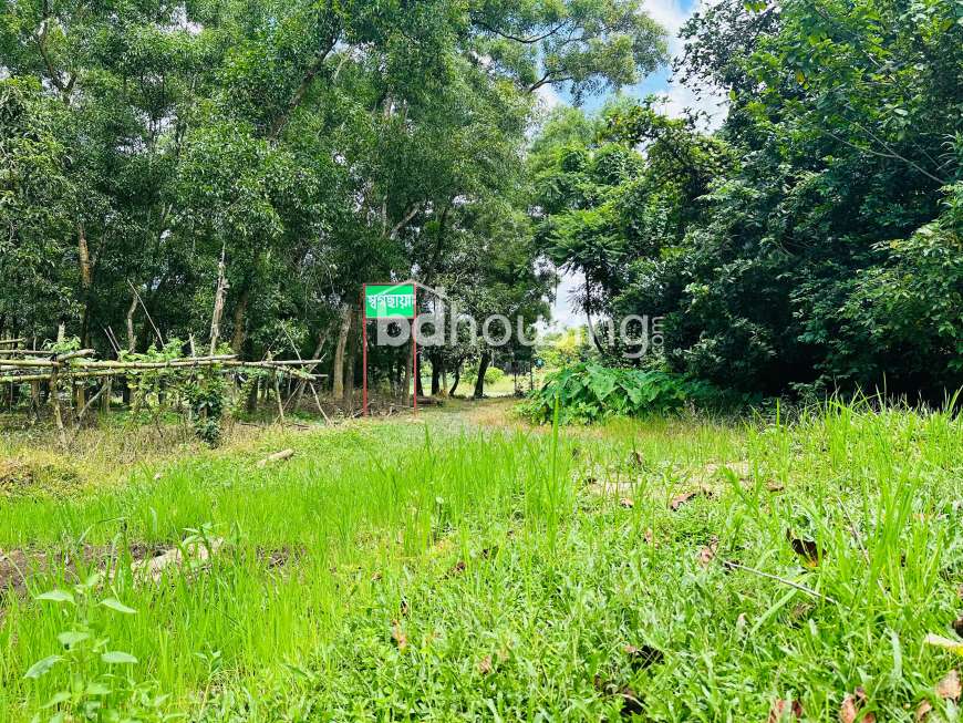 Shopno Nibash & Shopno Bilash, Residential Plot at Purbachal