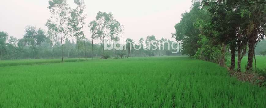 Shree, Agriculture/Farm Land at sadar