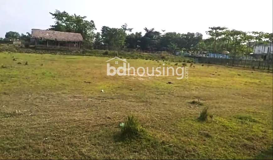 Own, Agriculture/Farm Land at Shahporan 