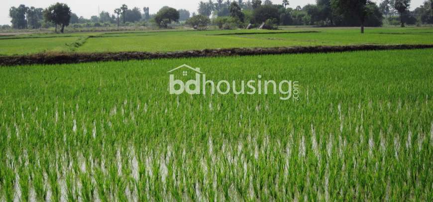 Agriculture Land, Agriculture/Farm Land at Laksam
