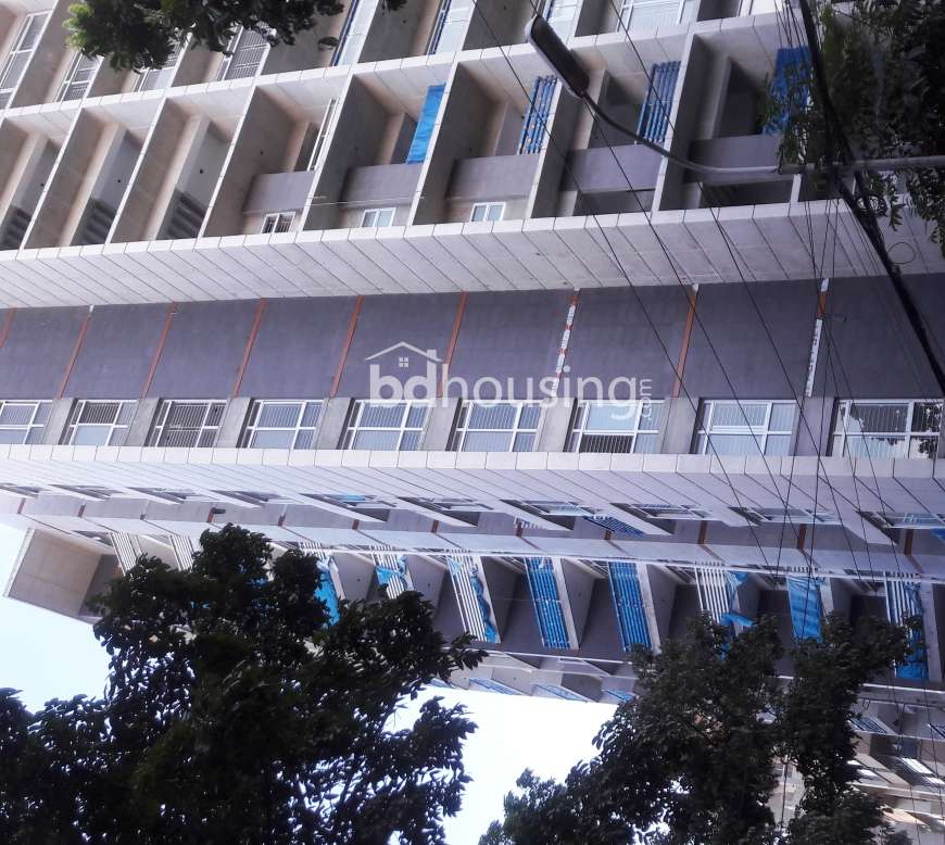2026 sft flat at Dhanmondi Road-06, Apartment/Flats at Dhanmondi