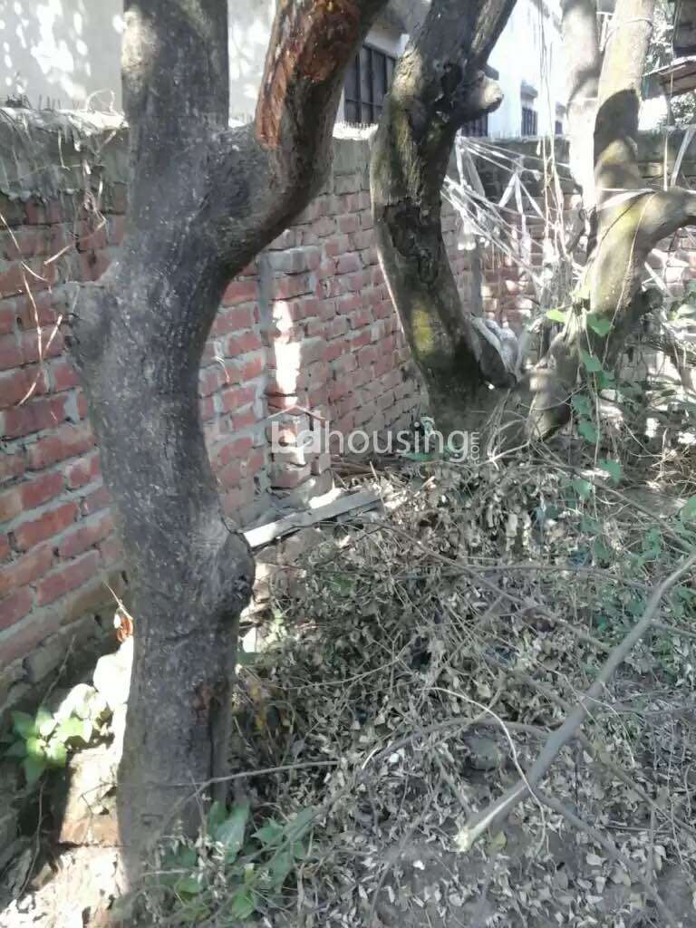 4,.5 katha square polt, Residential Plot at Bakshi Bazar