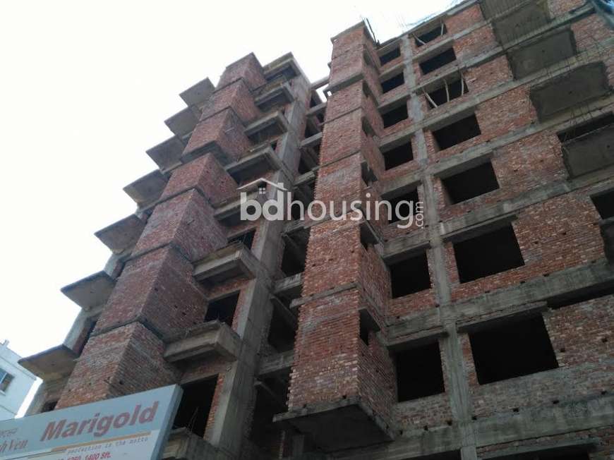 T marigold, Apartment/Flats at Mohammadpur