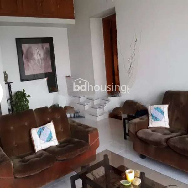 2000sft Duplex Apartment Rent@Dhanmondi, Apartment/Flats at Dhanmondi