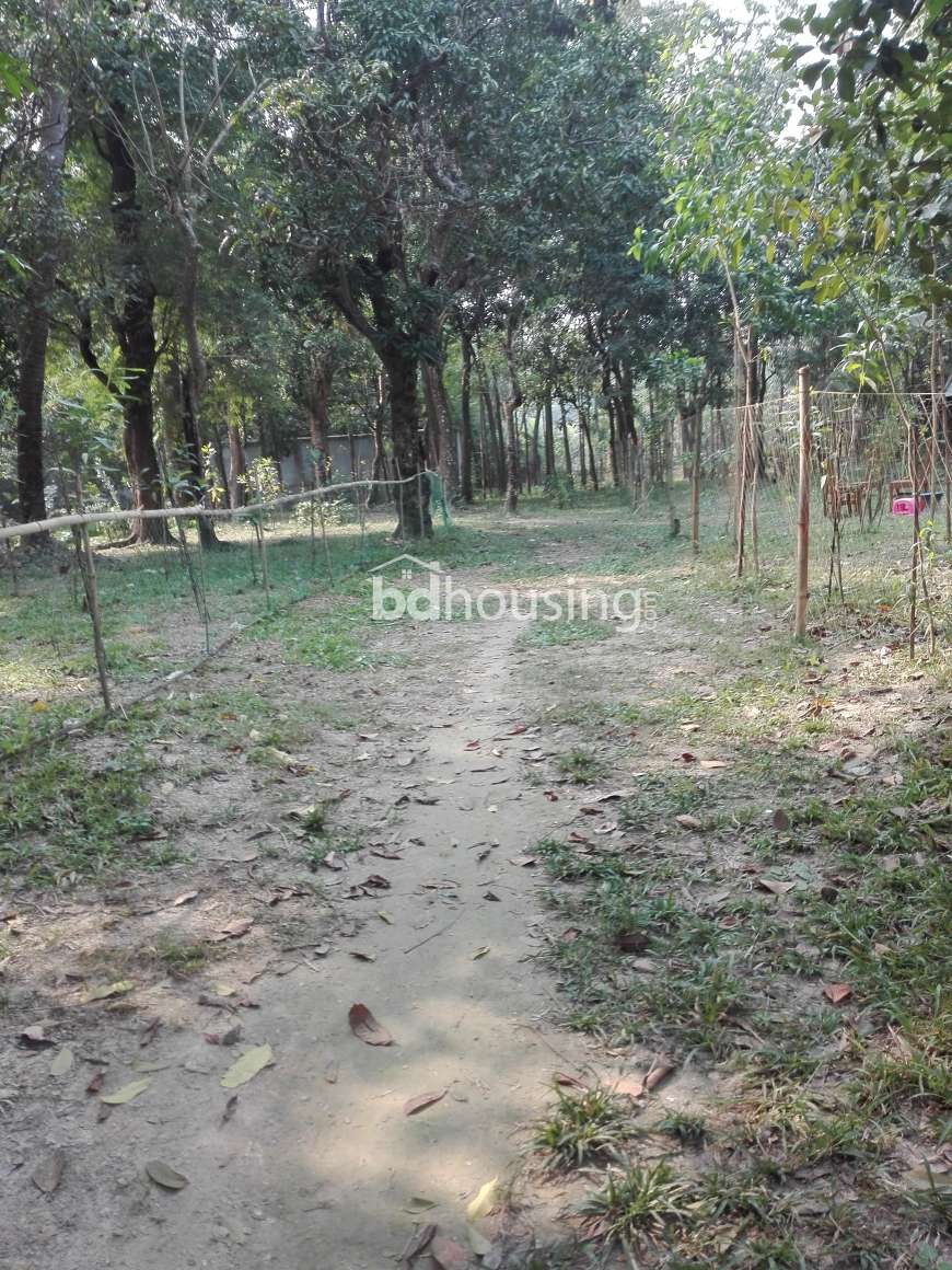 Agricultural land, 3 ponds, house,plants, bamboo bush,, Agriculture/Farm Land at Laksam