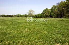 sotangso, Commercial Plot at Savar
