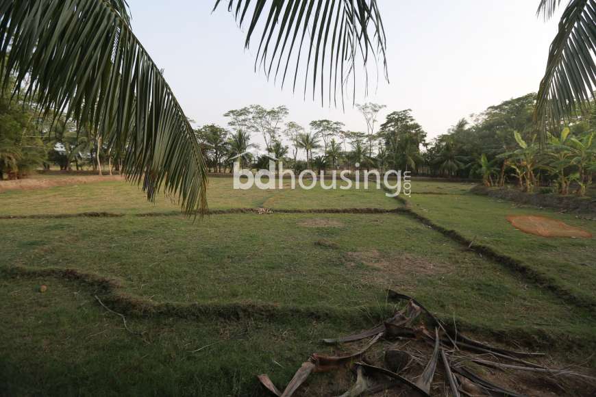 Shanteer Neer, Commercial Plot at Kuakata