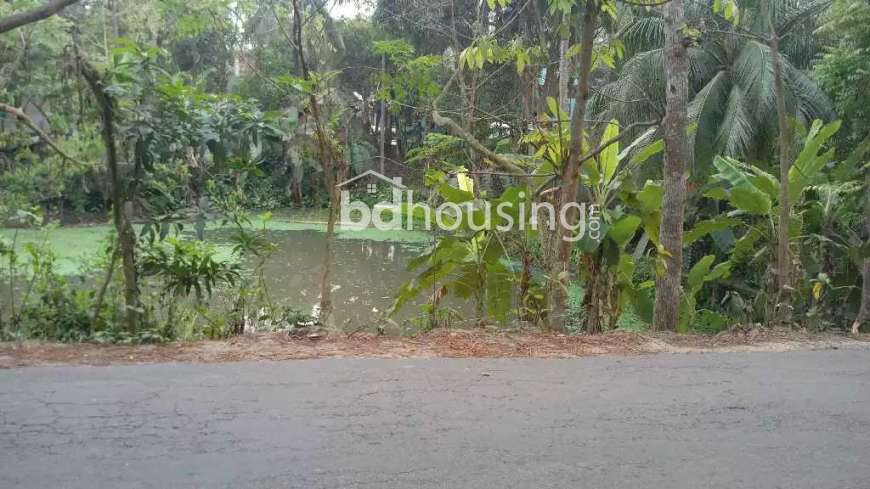 Individual Land, Residential Plot at Purbachal