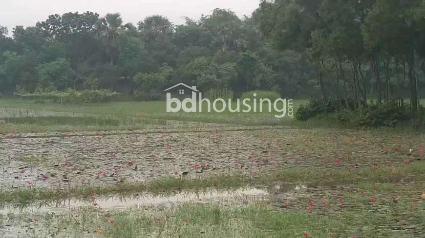 Individual Land, Residential Plot at Purbachal