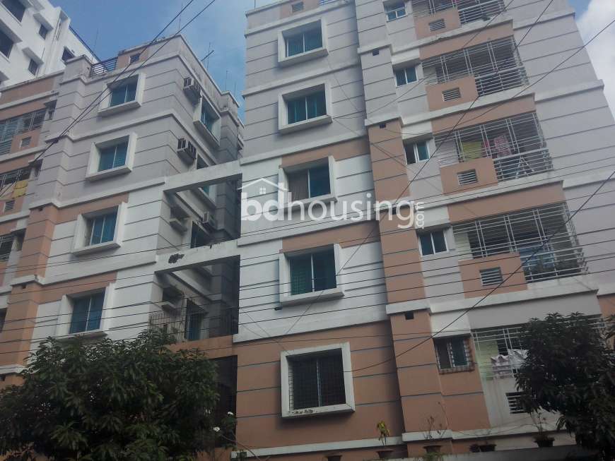 Dhanmondi Exclusive Flat @ Dhanmondi Rd-11, Apartment/Flats at Dhanmondi