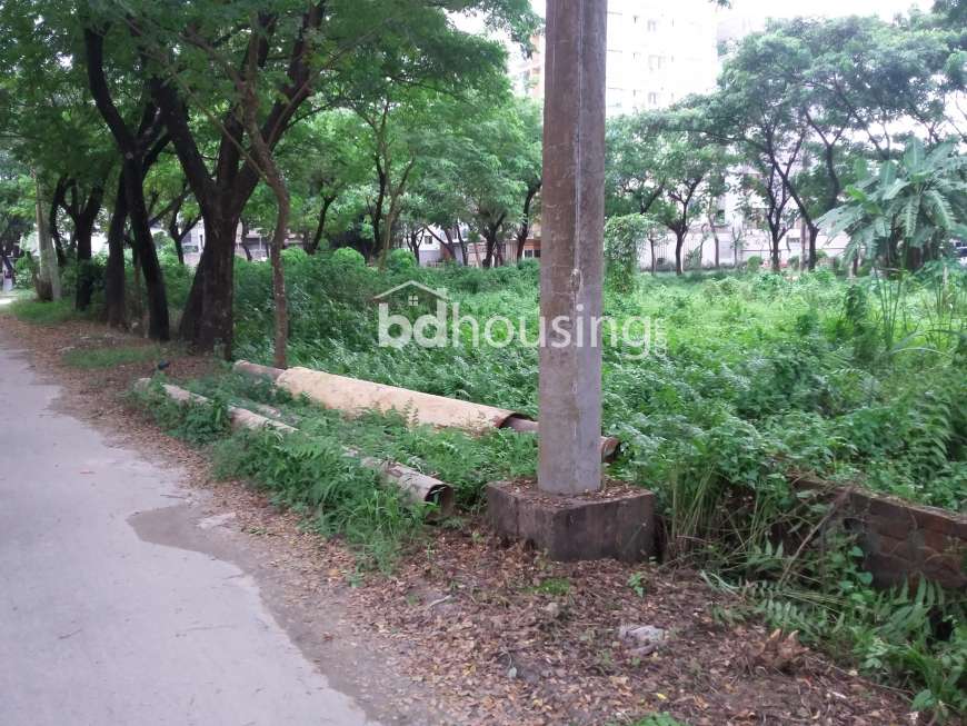 , Residential Plot at Bashundhara R/A