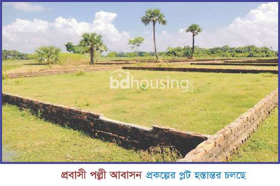 Probashi Palli Group, Residential Plot at Narayangonj Sadar