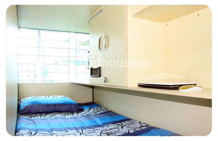 Hostel seat for Male, Apartment/Flats at Aftab Nagar