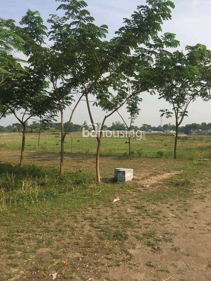 Chayakunjo, Residential Plot at Tongi