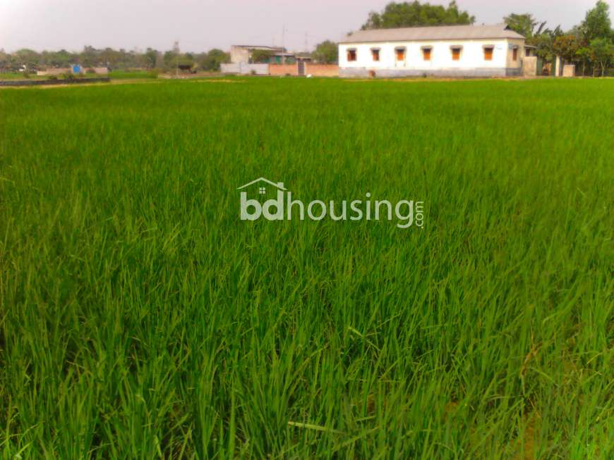Land, Residential Plot at Gazipur Sadar
