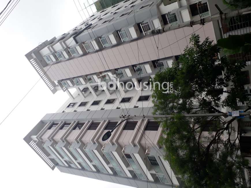 , Apartment/Flats at Dhanmondi