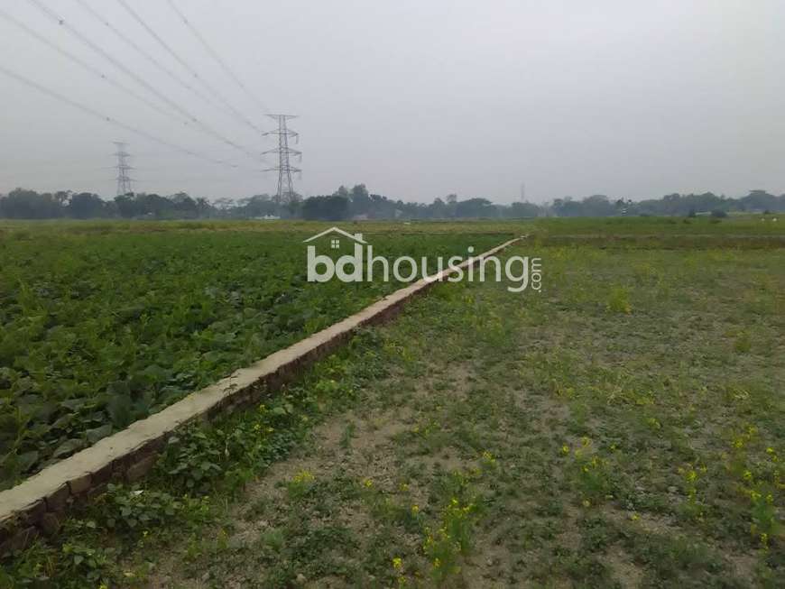 Mayakunjo, Residential Plot at Mohammadpur