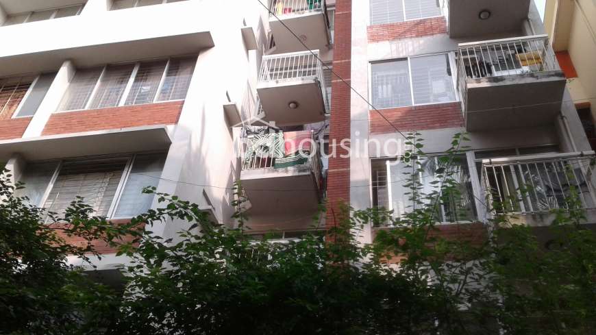 Search, Apartment/Flats at Dhanmondi