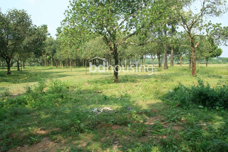 Sonali Model Town, Residential Plot at Ashulia