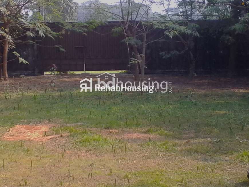 Fresh Land at Savar, Commercial Plot at Savar