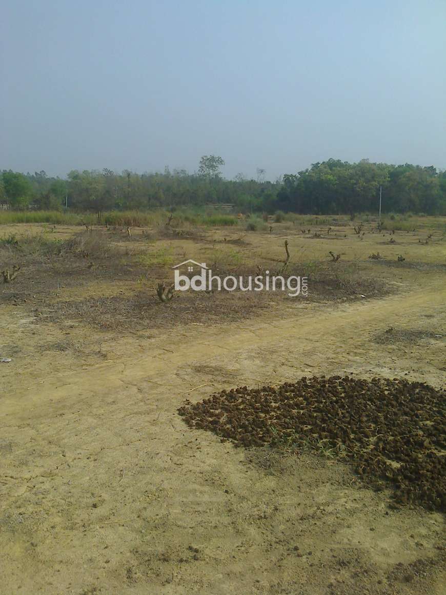 SHOKHIPUR LAND, Agriculture/Farm Land at Karatia