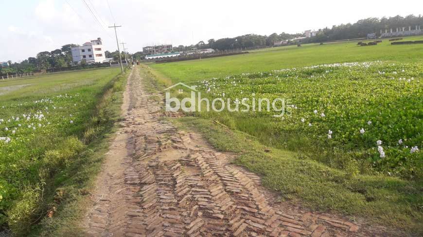 58 Katha Land, Commercial Plot at Garden Road, Karwanbazar