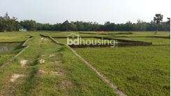 Nobigong Auskhandi land sale, Residential Plot at Ambarkhana