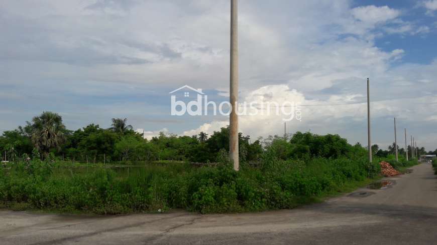 3Katha plot for sell in Rajuk Purbacial, Residential Plot at Purbachal