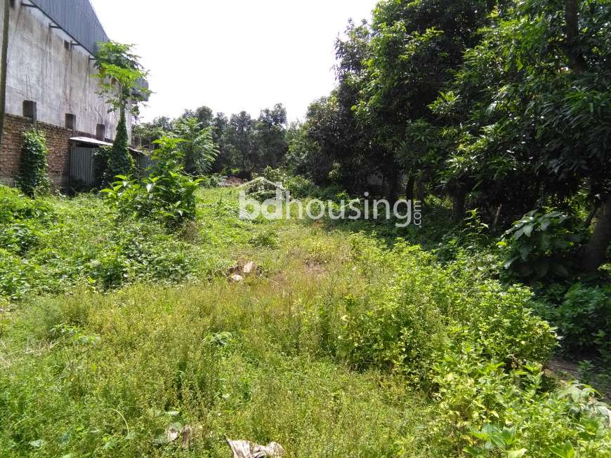 95 Narayanganj, Agriculture/Farm Land at Garden Road, Karwanbazar