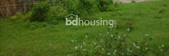 Eastern housing Pallabi project , Residential Plot at Pallabi