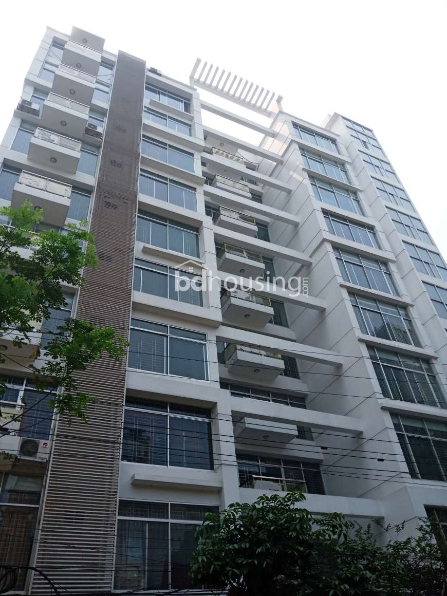 2600 sft 4bed new ready apartment for sell in banani, Apartment/Flats at Banani