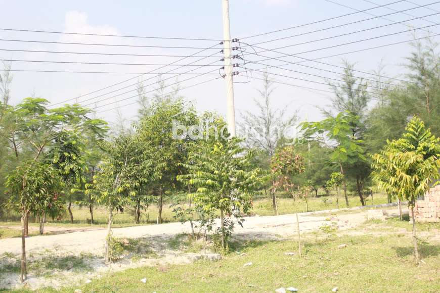 Ready Plot , Residential Plot at Uttara