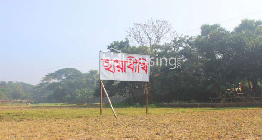 commercial plot, Commercial Plot at Purbachal