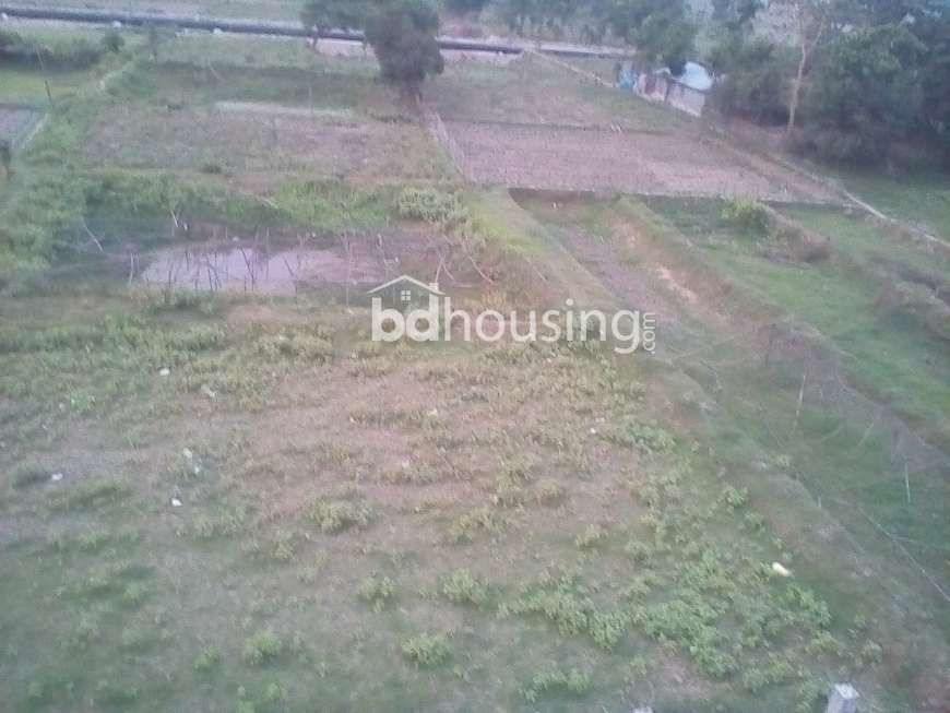 Attractive Land, Residential Plot at Bandar