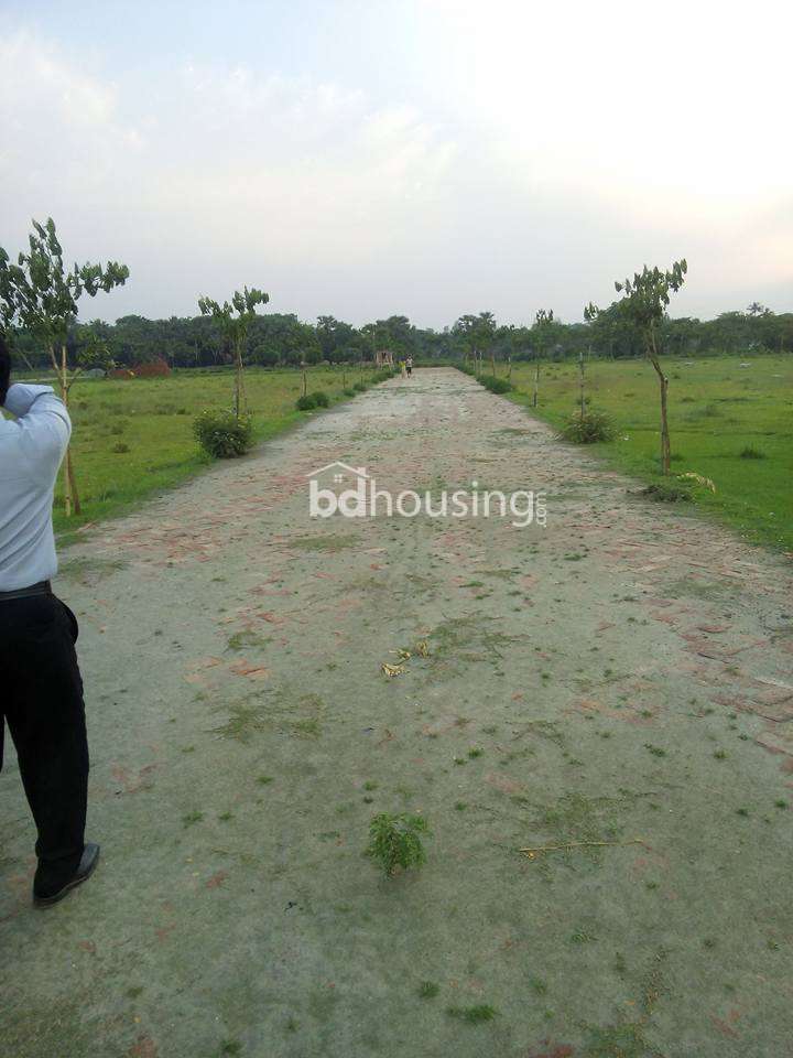 Chayakunjo-5, Residential Plot at Tongi