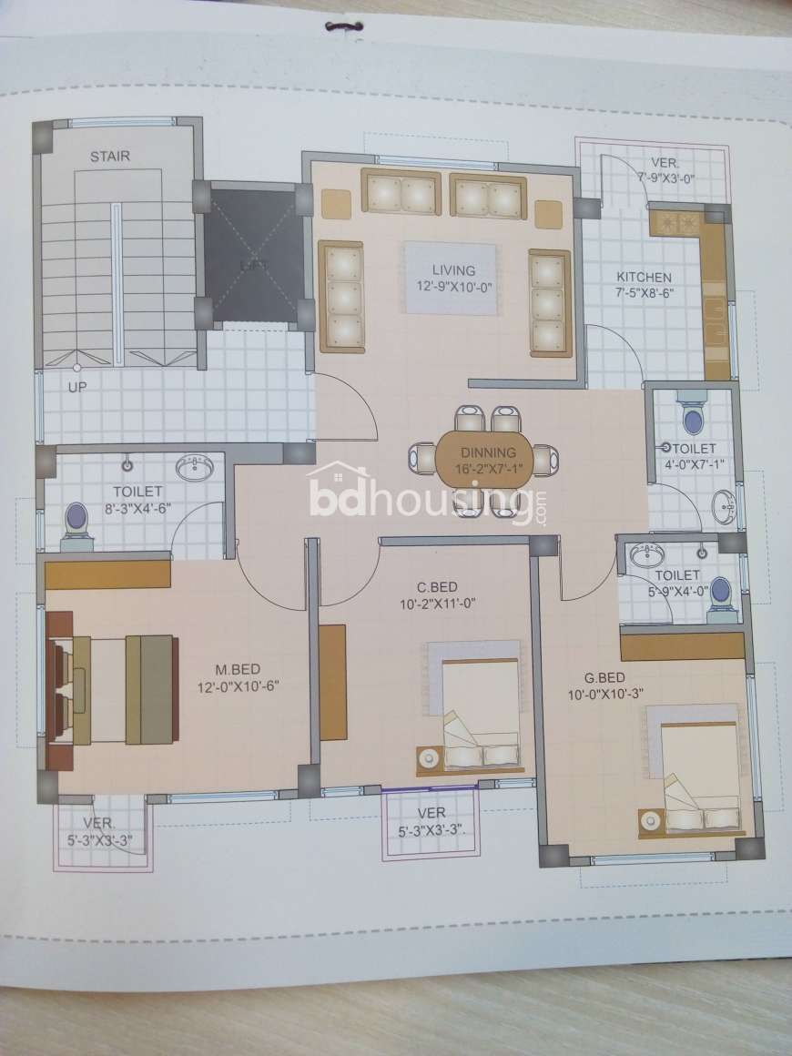 Tsubaki Heights, Apartment/Flats at Bashundhara R/A