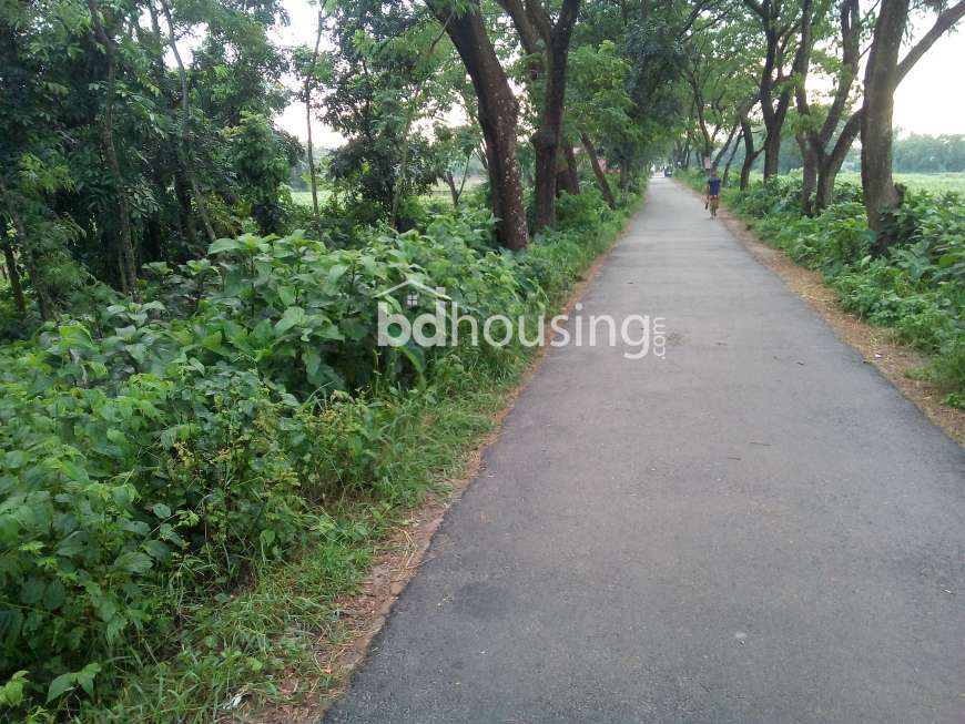 , Commercial Plot at Hemayetpur