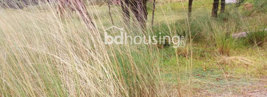 Land Sale@ Salimula Road, Mohammadpur, Residential Plot at Mohammadpur