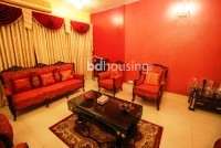 3400sft South Facing Apartment for Sale at Banani, Apartment/Flats at Banani