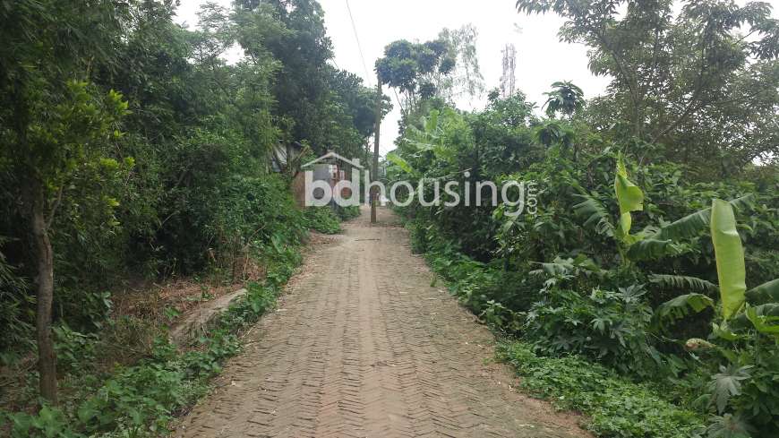 bd property, Residential Plot at Hemayetpur