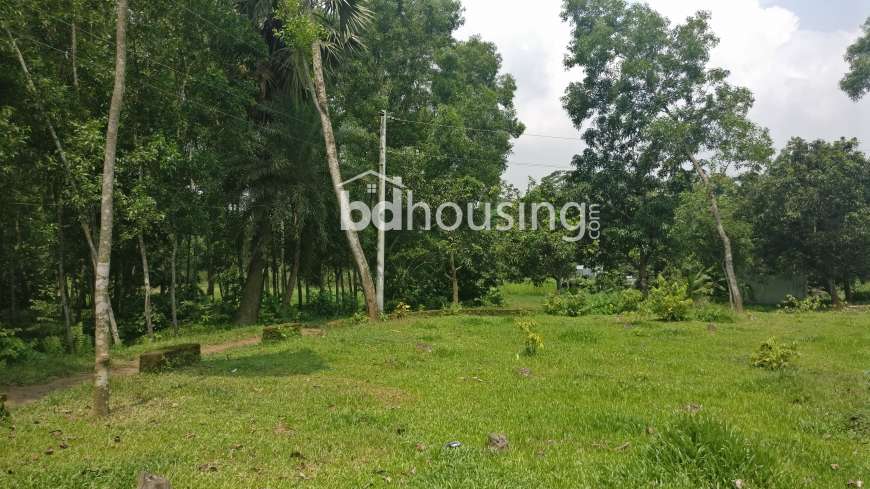 Tareq Plots, Residential Plot at Gazipur Sadar