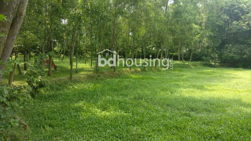 Tareq Properties, Residential Plot at Gazipur Sadar