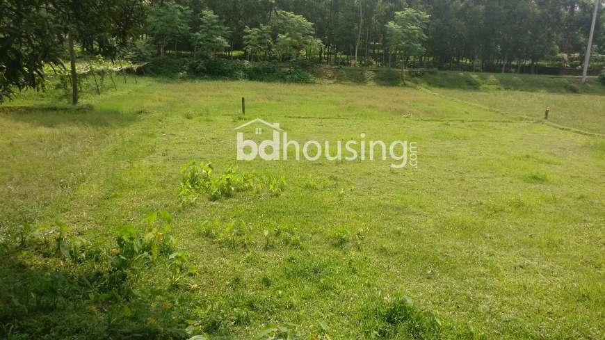 Tareq Properties, Residential Plot at Gazipur Sadar