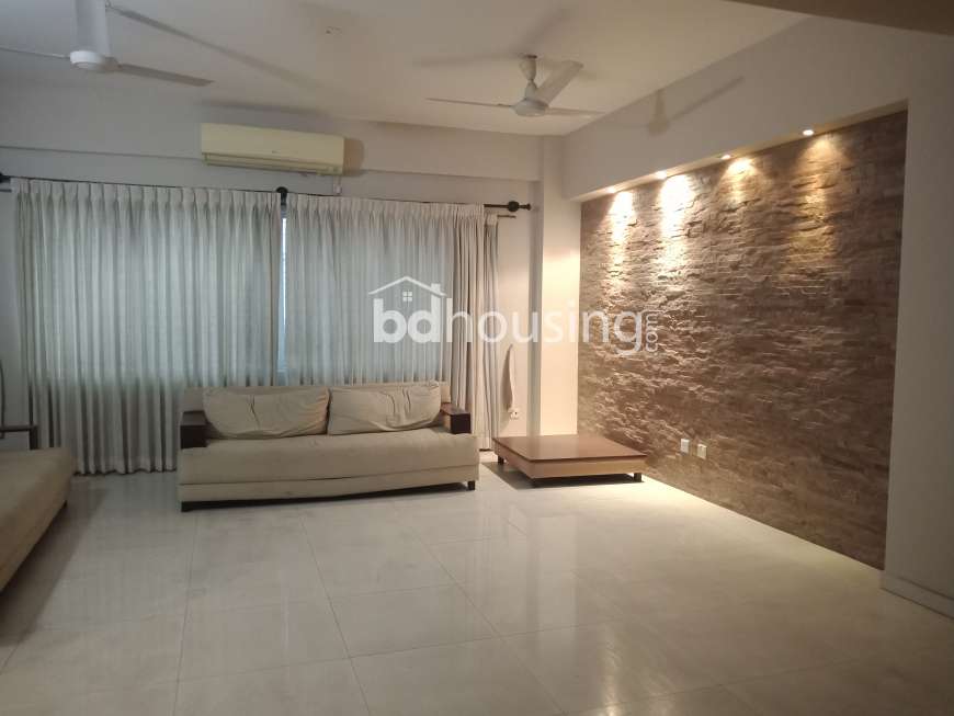 2950sft Exclusive South Facing Apartment for Sale at North Banani   , Apartment/Flats at Banani